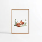 Affiche Renard Endormi