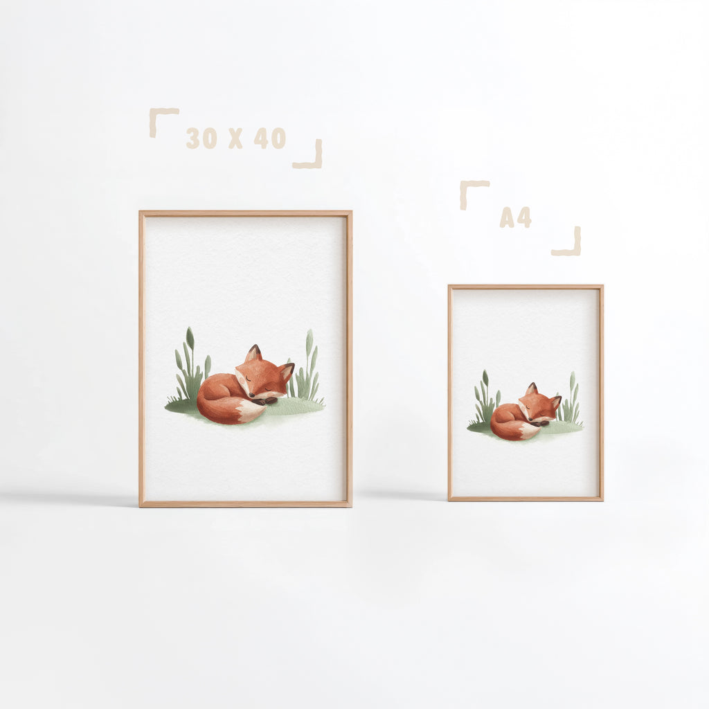 Affiche Renard Endormi